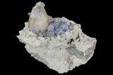 Purple/Gray Fluorite Cluster - Marblehead Quarry Ohio #81184-1